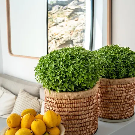 Xylo Tinos Private Pool & Sea View *